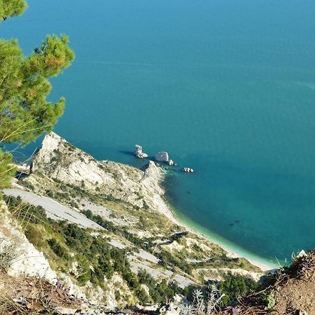 Le Case Di Lara Διαμέρισμα Sirolo Εξωτερικό φωτογραφία